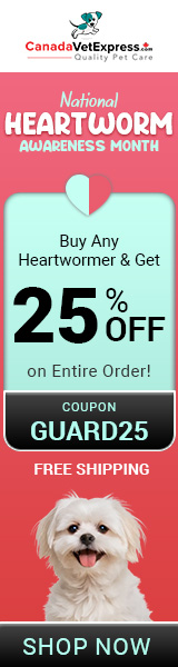 canadavetexpress.com logo