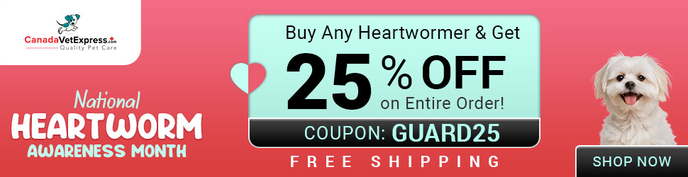 canadavetexpress.com logo