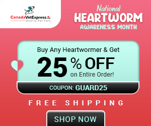 canadavetexpress.com logo