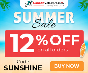 canadavetexpress.com logo