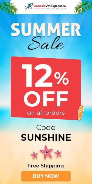 canadavetexpress.com logo