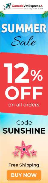 canadavetexpress.com logo