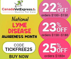 canadavetexpress.com logo