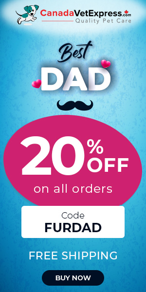 canadavetexpress.com logo