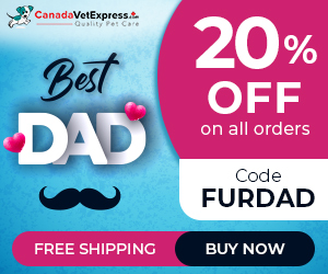 canadavetexpress.com logo