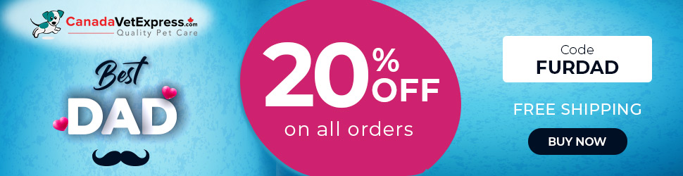 canadavetexpress.com logo