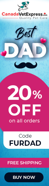 canadavetexpress.com logo