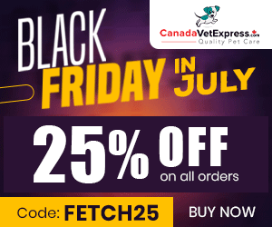 canadavetexpress.com logo