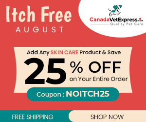 canadavetexpress.com logo