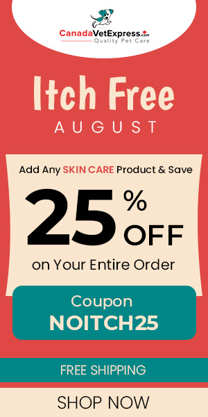 canadavetexpress.com logo