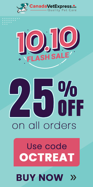 canadavetexpress.com logo