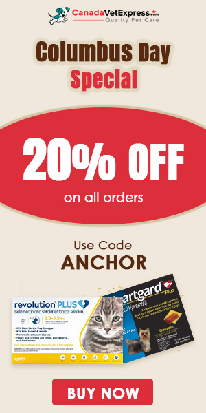 canadavetexpress.com logo