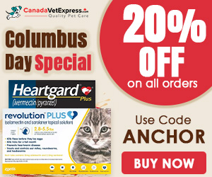 canadavetexpress.com logo