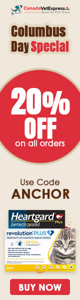 canadavetexpress.com logo