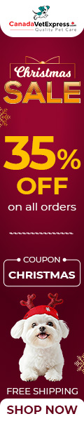 CVE-Adroll-christmas-sale-dec25-120x600.jpg