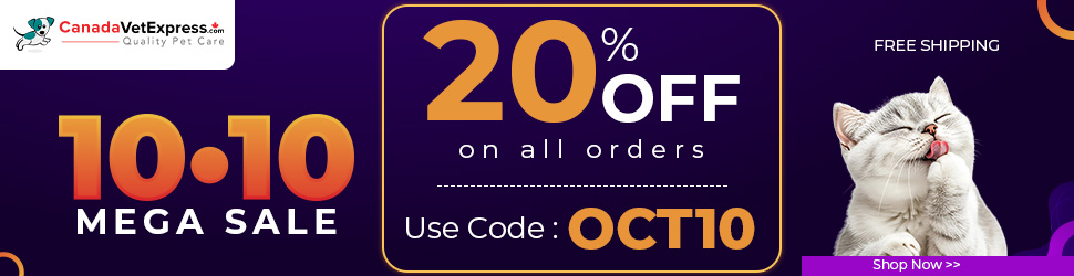 CVE-970X250-10-10-Sale-Oct-2026.jpg
