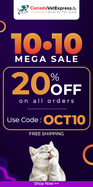 CVE-300X600-10-10-Sale-Oct-2026.jpg