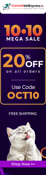 CVE-160X600-10-10-Sale-Oct-2026.jpg