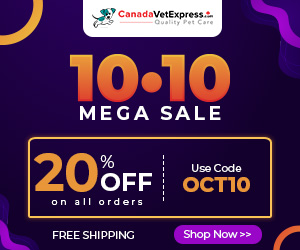 CVE-300X250-10-10-Sale-Oct-2026.jpg