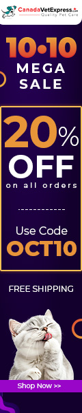 CVE-120X600-10-10-Sale-Oct-2026.jpg