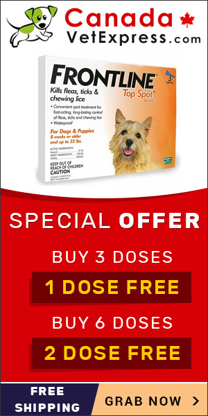 canadavetexpress.com logo