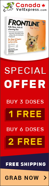 canadavetexpress.com logo