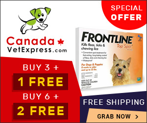 canadavetexpress.com logo