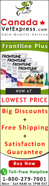 canadavetexpress.com logo