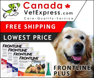 canadavetexpress.com logo