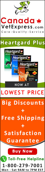 canadavetexpress.com logo