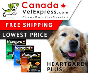 canadavetexpress.com logo