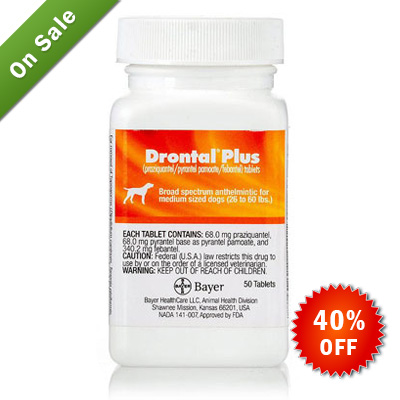 canadavetexpress.com logo