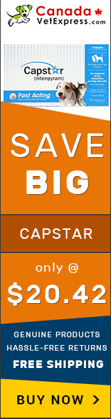 canadavetexpress.com logo