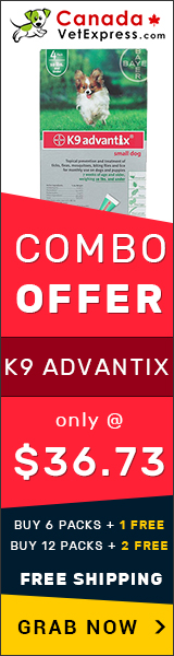 canadavetexpress.com logo