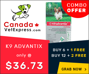 canadavetexpress.com logo