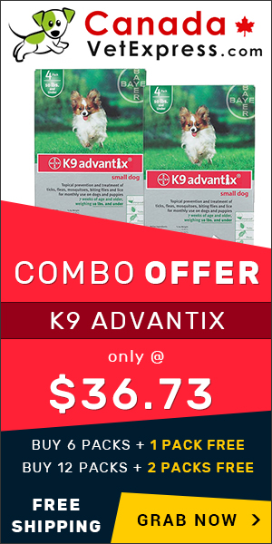 canadavetexpress.com logo