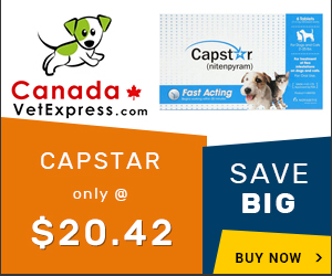 canadavetexpress.com logo