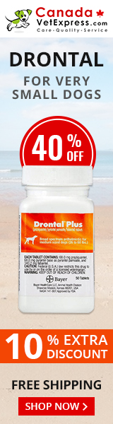 canadavetexpress.com logo