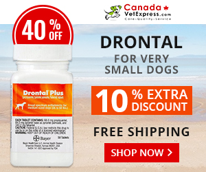 CanadaVetExpress - CVE_Drontal_300x250