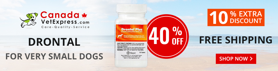 CanadaVetExpress - CVE_Drontal_970x250