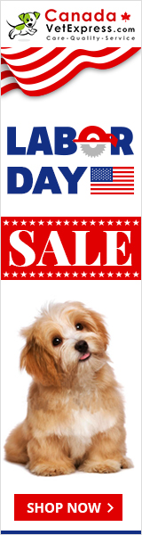 canadavetexpress.com logo