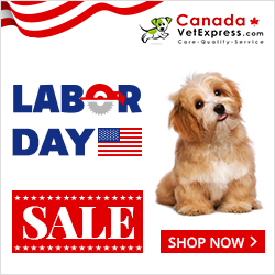 CanadaVetExpress - LaborDay_CVE_250x250