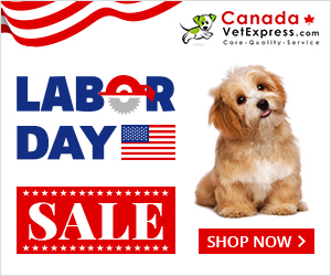 CanadaVetExpress - LaborDay_CVE_300x250