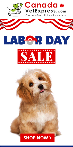 CanadaVetExpress - LaborDay_CVE_300x600