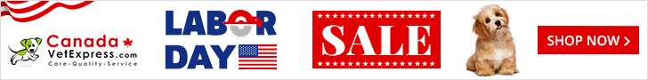 CanadaVetExpress - LaborDay_CVE_728x90