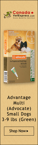 CanadaVetExpress logo