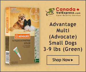 CanadaVetExpress - CVE_Adv_Multi_300x250