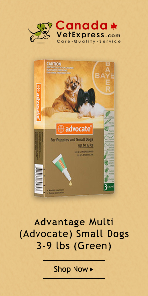 CanadaVetExpress - CVE_Adv_Multi_300x600