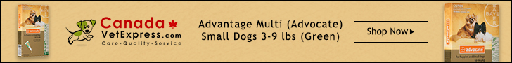 CanadaVetExpress - CVE_Adv_Multi_728x90