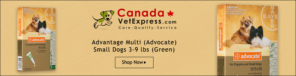 CanadaVetExpress - CVE_Adv_Multi_970x250